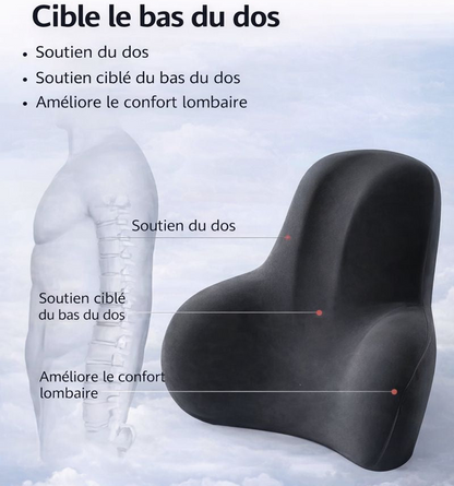 Coussin Lombert - Assise Prolongée 